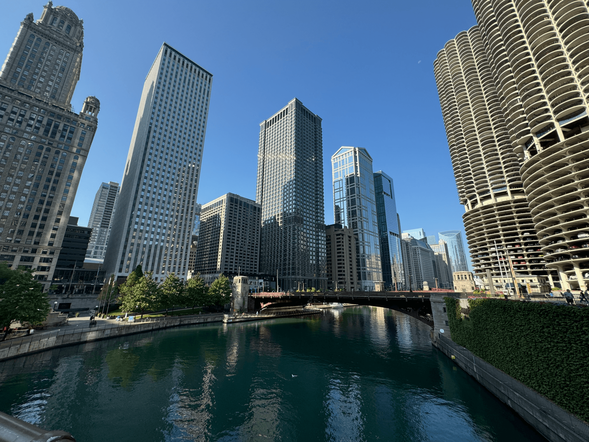 Picture of downtown Chicago, with ridiculously tall buildings surrounding a river.