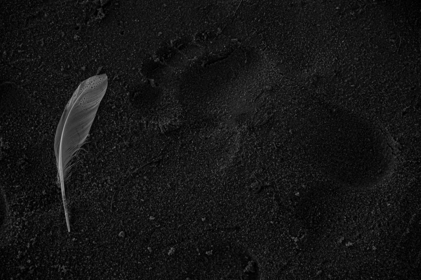 Picture of sand with a feather and a footprint besides it